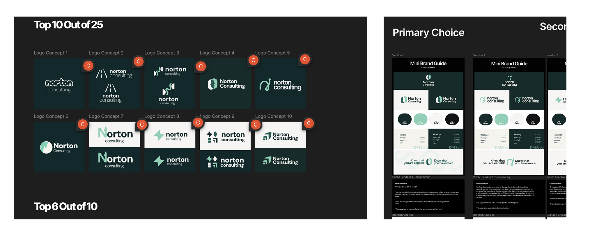 Logo Concepts & Audience Testing 